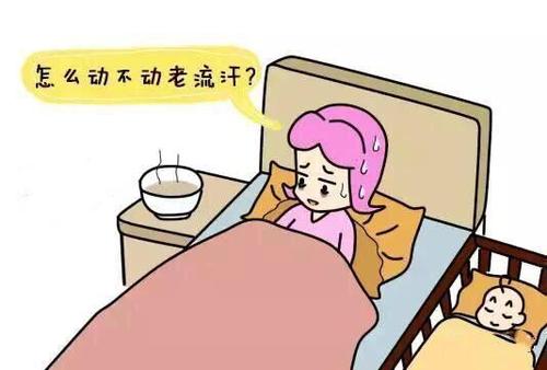 新手妈妈必备的护理知识,母狗产后护理三大禁忌