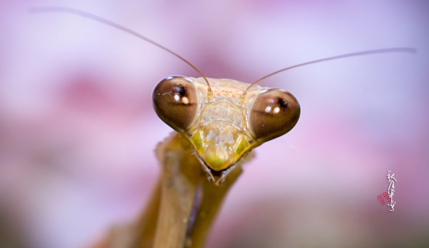 关于二手（这是个沉重而有趣的话题）