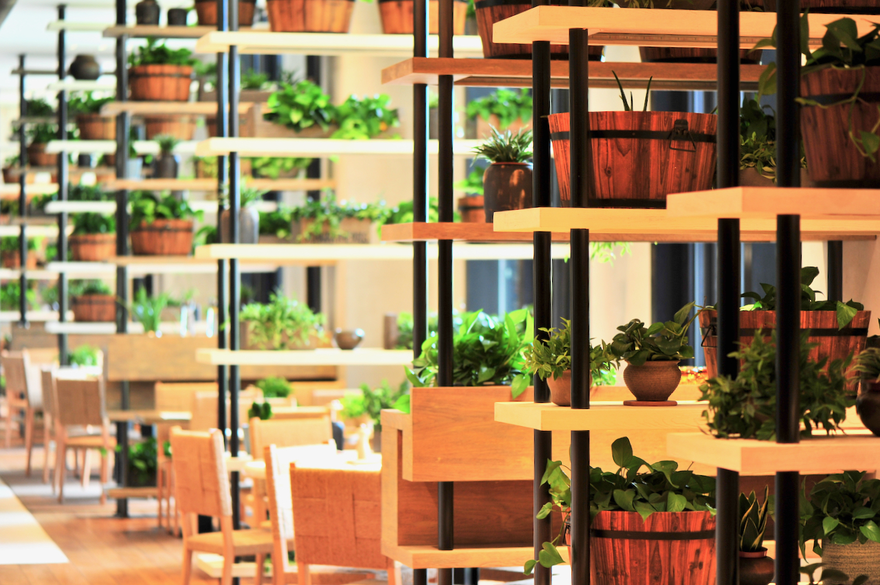 全球最适宜中国人去的海岛,中国可以度假的海岛