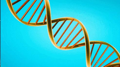 有多少外地人倒在西南的痔疮医院里？