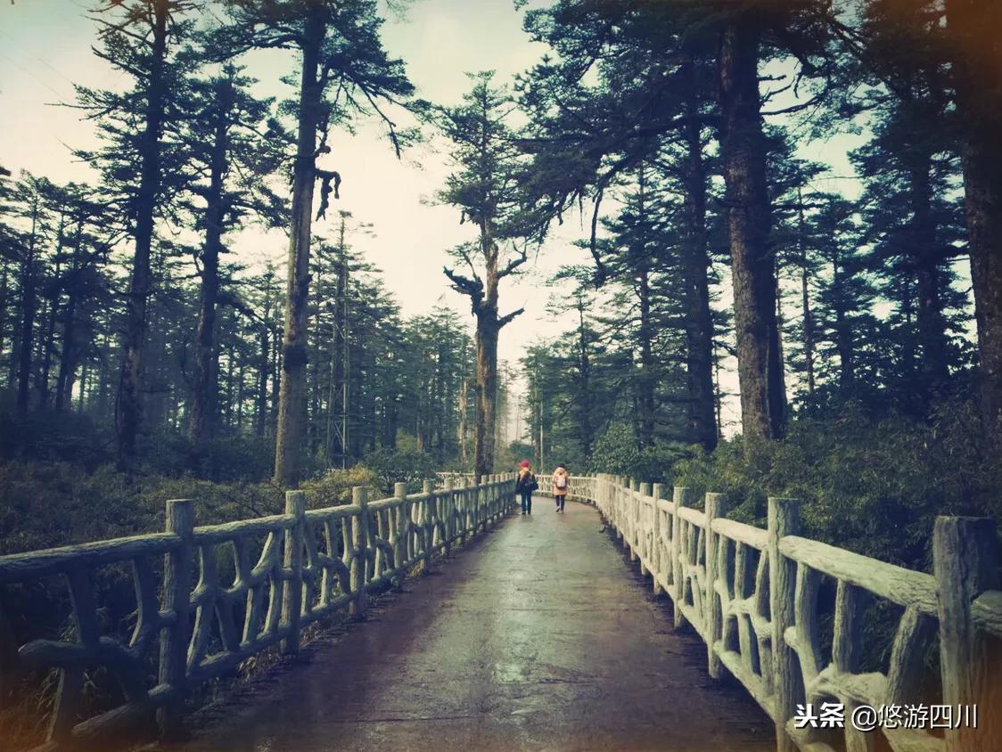 那种感觉只有在洪雅才可以感觉出来的