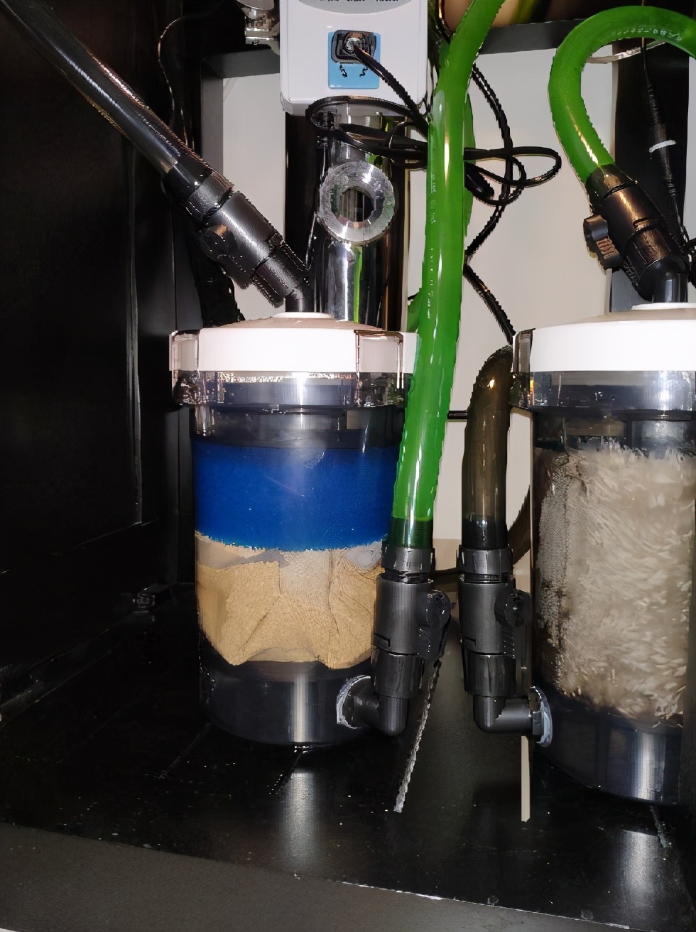 鱼缸黄水绿水怎么处理,鱼缸绿水和黄水如何处理