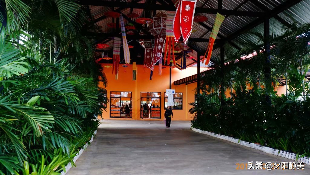 泰国芭提雅东芭乐园视频,芭提雅东芭乐园游玩攻略