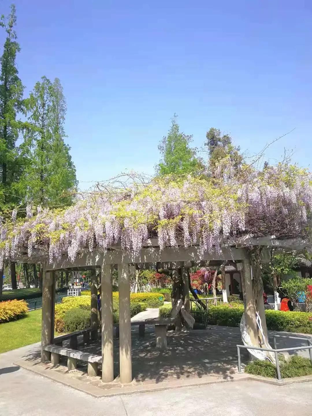 江苏财经大学,南京财经大学双非院校排名