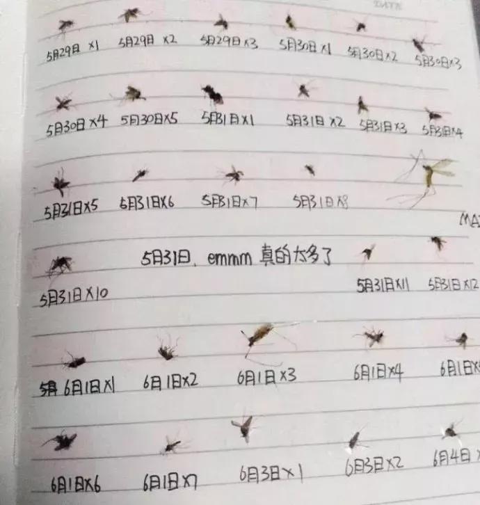 桃子水是驱蚊的吗,桃子水防蚊喷雾