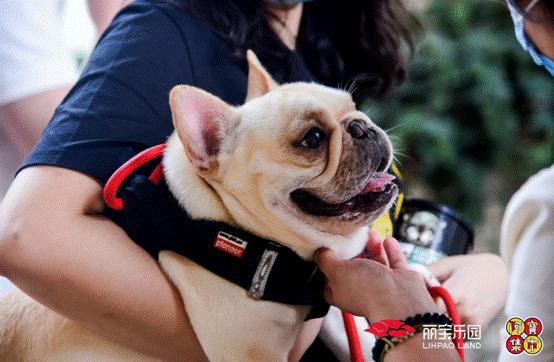 购物中心超具人气的活动,购物中心市集创意摊位