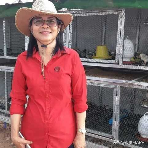 中国人在柬埔寨月入过万,柬埔寨人一般收入靠什么