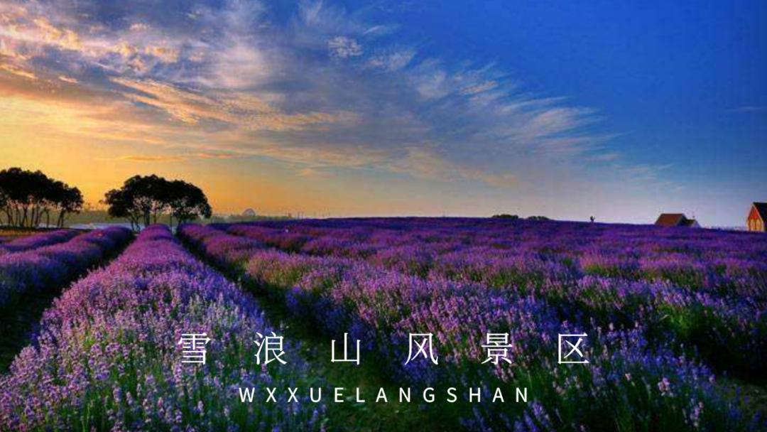 鏃犻敗鍦伴搧浼樻儬,鏃犻敗鍦伴搧浼樻儬娲诲姩鏄庣粏