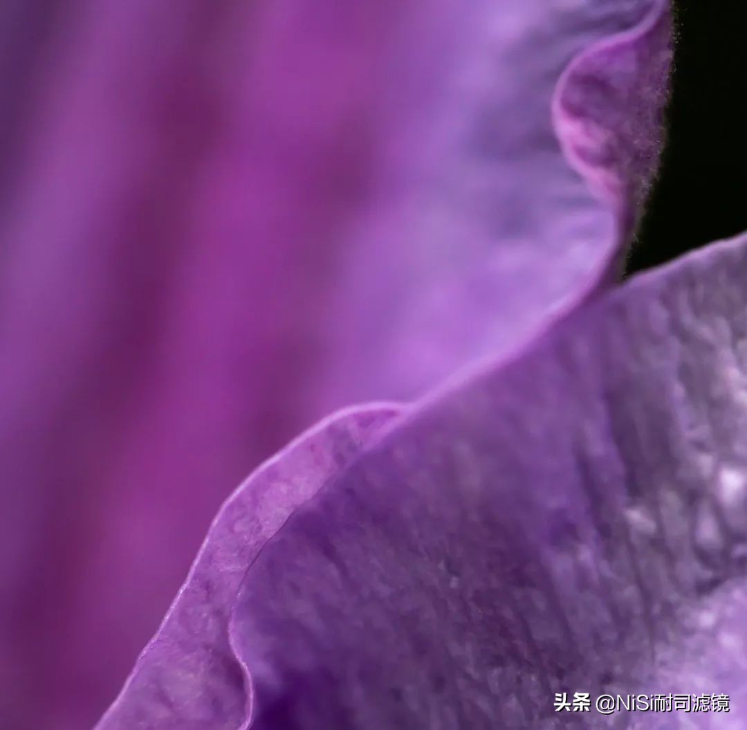 看到精彩——加拿大摄影师老飘飘的近摄镜测评