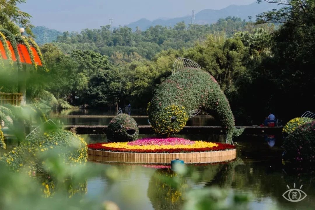 深圳吃喝玩乐一整天,深圳吃喝玩乐一天攻略