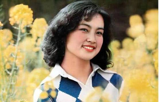 金星秀刘晓庆陈国军姜文,陈国军刘晓庆与姜文