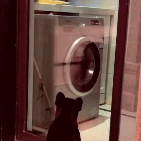 钱不是大风刮来的却是大风刮没的,谁说钱不是大风刮来的