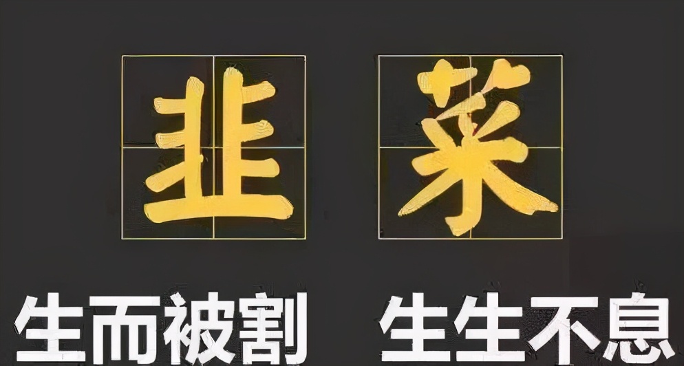 餐厅用的双灶电磁炉,米家双口电磁炉推荐