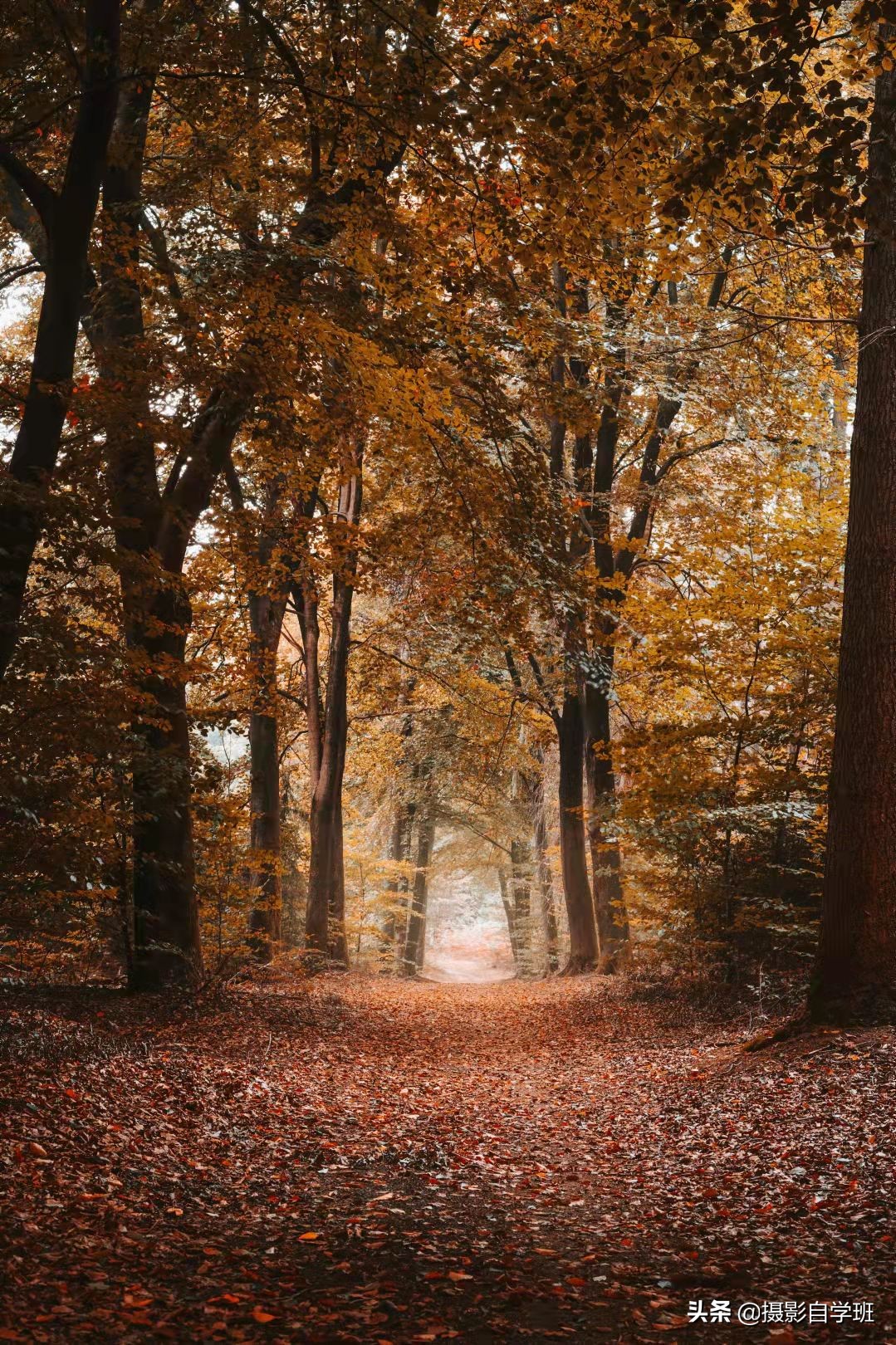 摄影小技巧风景照,风光摄影高原风景