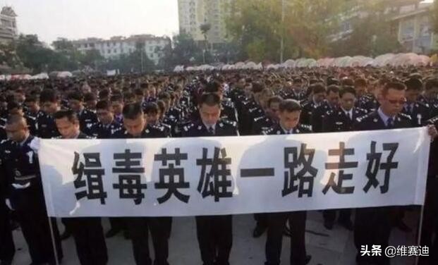 日本女星酒井法子彻底失业八卦,曾经的亚洲一姐酒井法子