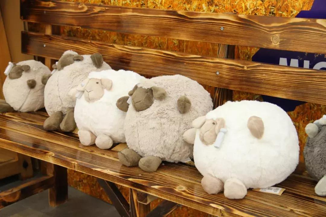 探店｜让你羡慕了，我们远梦生活就是传说中“别人家的生活”