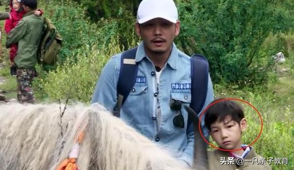 杨烁回应父母对孩子的暴力,杨烁严父