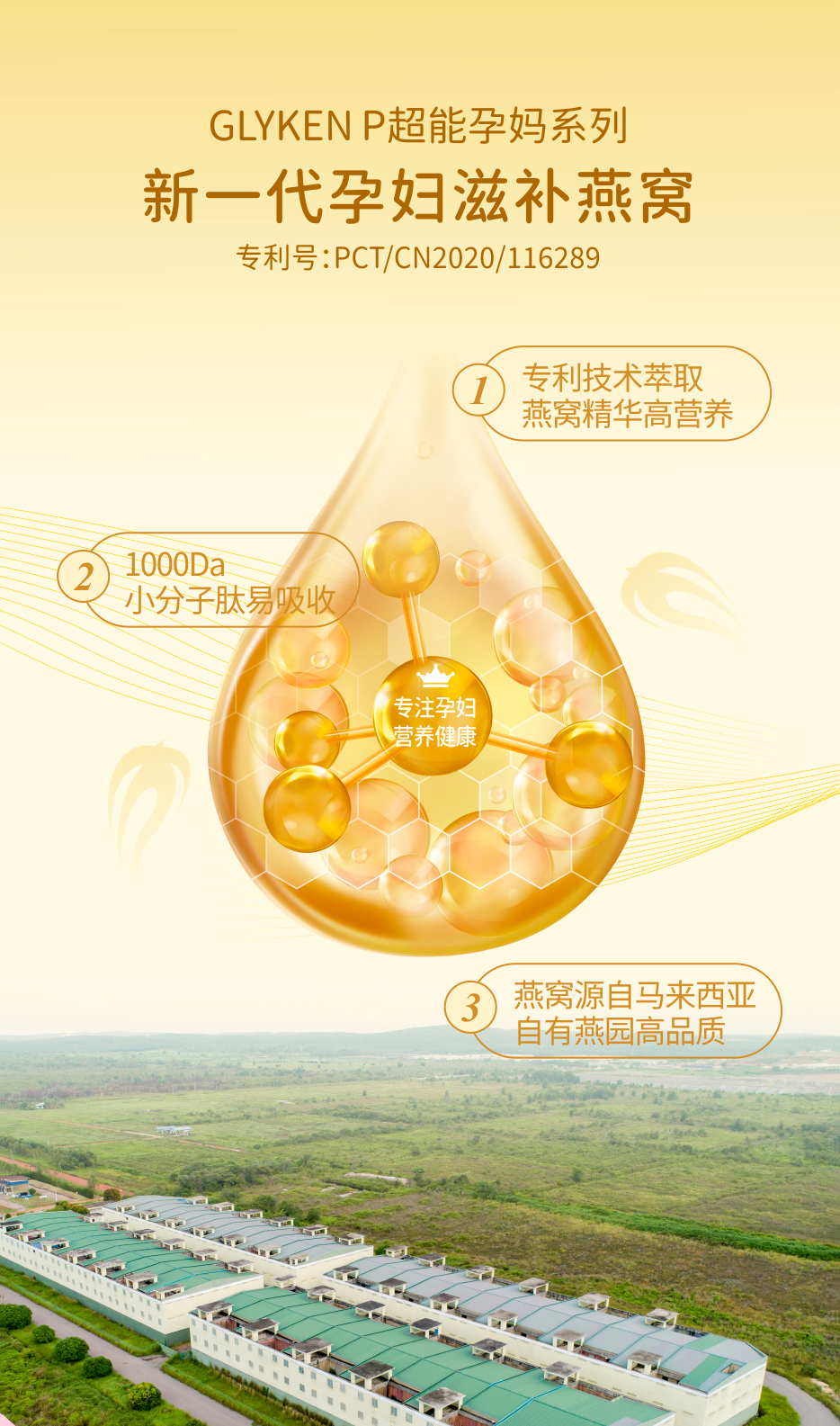 智慧妈咪之选!新加坡GLYKEN超能孕妈系列燕窝肽新品上市