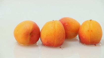 陕西金太阳新鲜杏子,陕西金太阳酸杏子