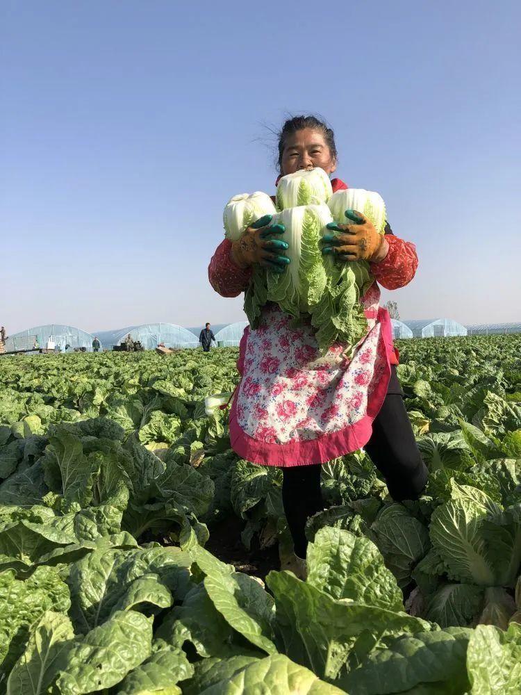 讲了一个悲伤故事,讲一个悲伤的故事吧