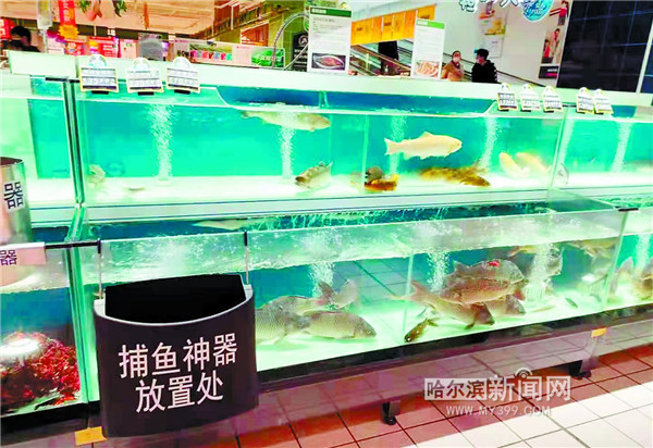 淡水鱼价为何低迷,淡水鱼批发价格行情