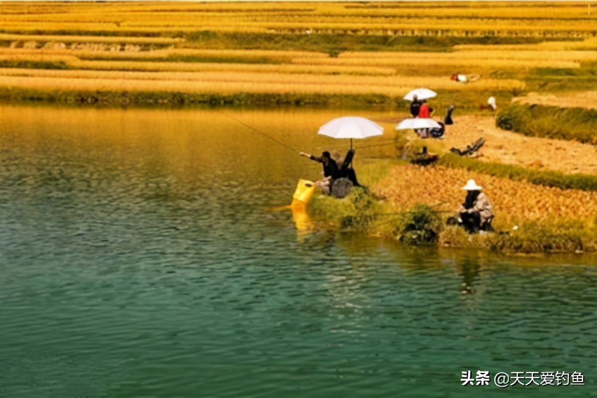钓鱼技巧:钓鱼遇上刮风天,经验告诉你,这些风向鱼情更好