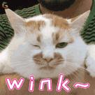 洗衣机洗衣服得霉菌,洗衣机清洗出来的霉菌