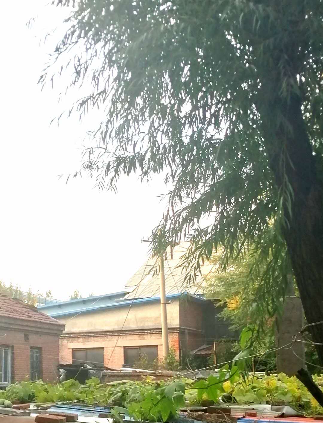 参观沈阳劳模纪念馆感想,参观沈阳历史博物馆的观后感