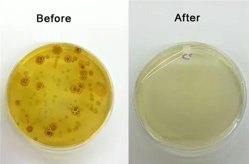 马桶清洁除味消毒去菌,马桶除菌和杀菌