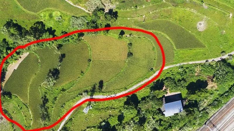 鍏泭璇夎瀹堟姢缇庡ソ鐢熸椿涓撻」鐩戠潱,瀹堟姢缇庝附瀹跺洯鍏泭璇夎