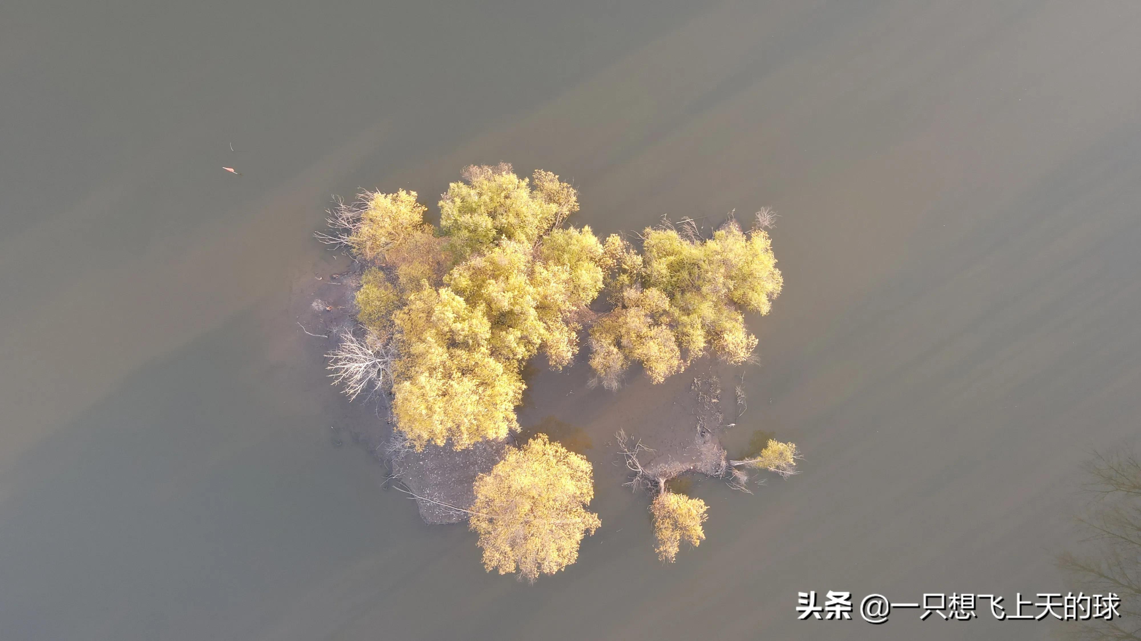 二坝航拍夜景,二坝镇航拍图