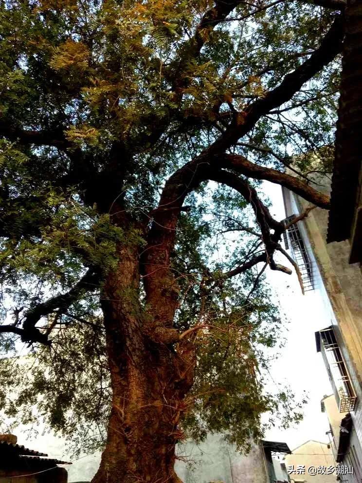 潮汕海山风情图片,饶平海山风情