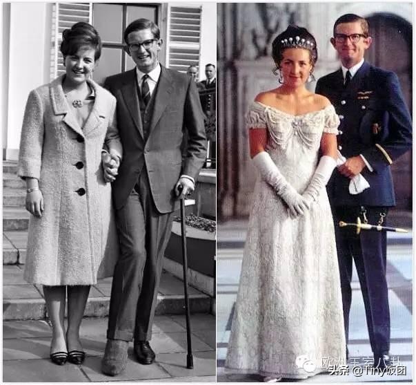 科普向-荷兰：活力有爱橙子国