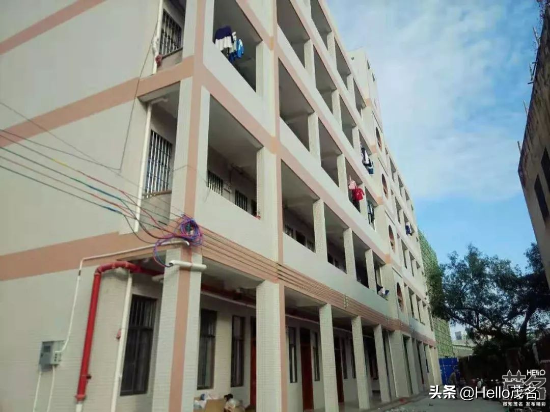 搴勫北涓,婊ㄦ捣鏂板尯搴勫北涓