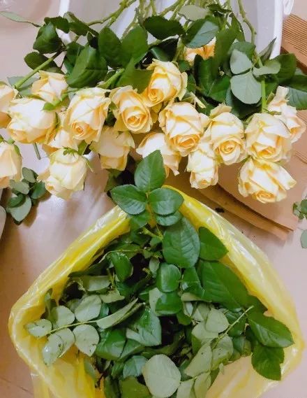 收到花有点蔫怎么处理,收到花有点干瘪醒花方法