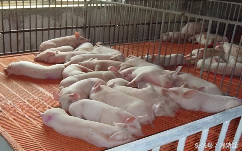 天气寒冷才看出外墙保温的效果,外墙隔热保温技巧