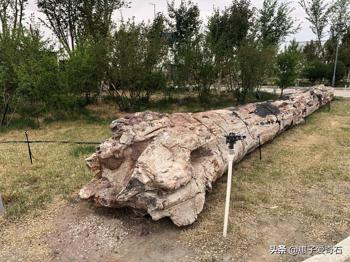 疆内观赏石,高价成交顶级带洞奇石