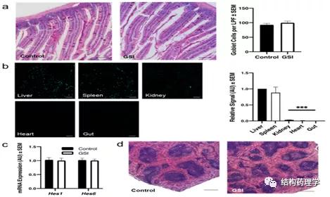 靶向药会引起血糖酮症酸中毒吗,靶向药物parp抑制剂