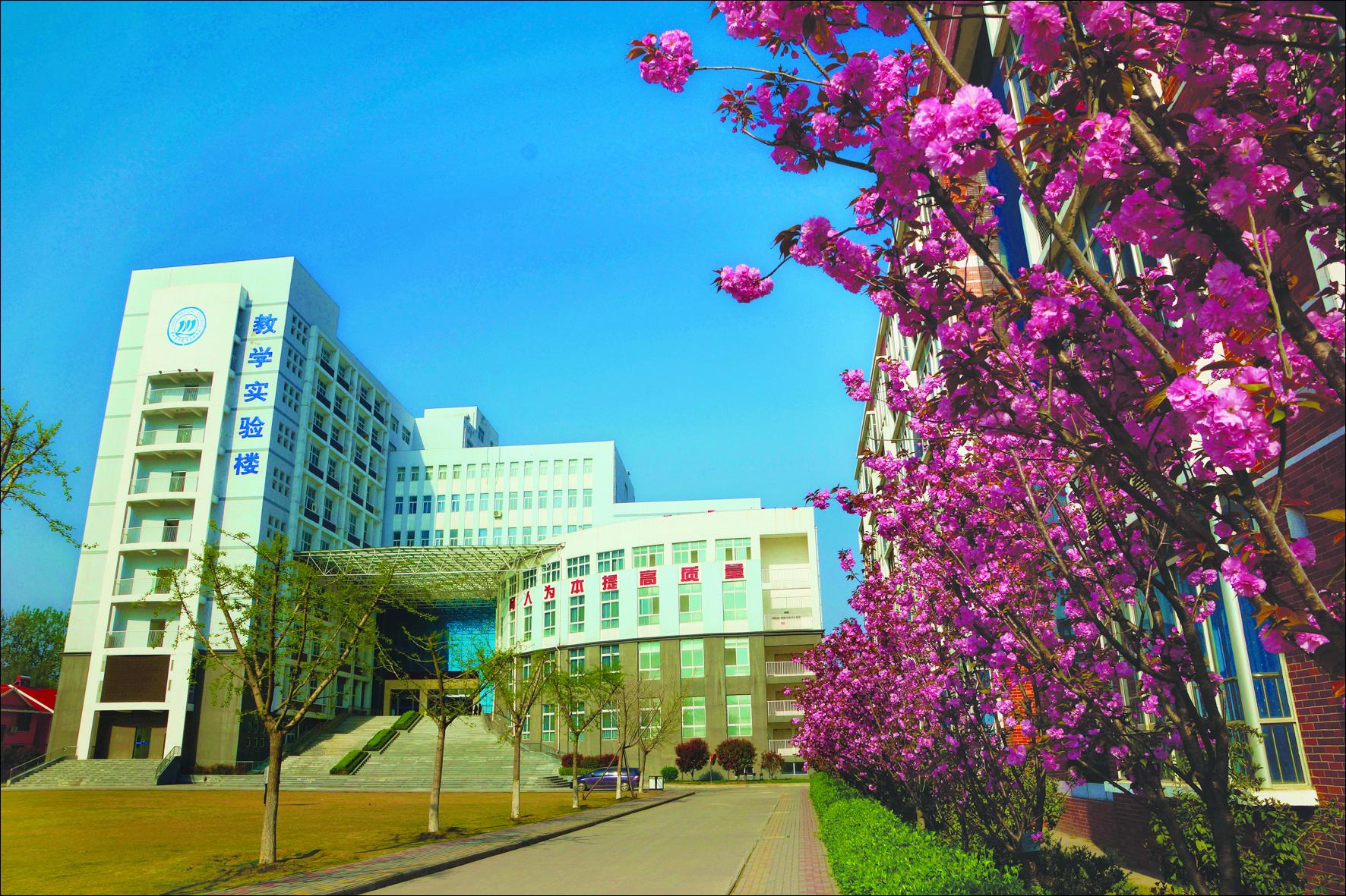 漯河和许昌哪个发展更好,漯河和平顶山对比