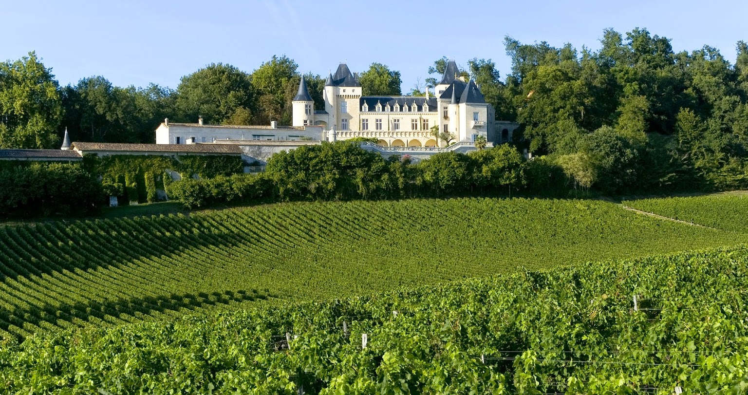 法国葡萄酒酒标详细解读图片,法国葡萄酒酒庄等级怎么标