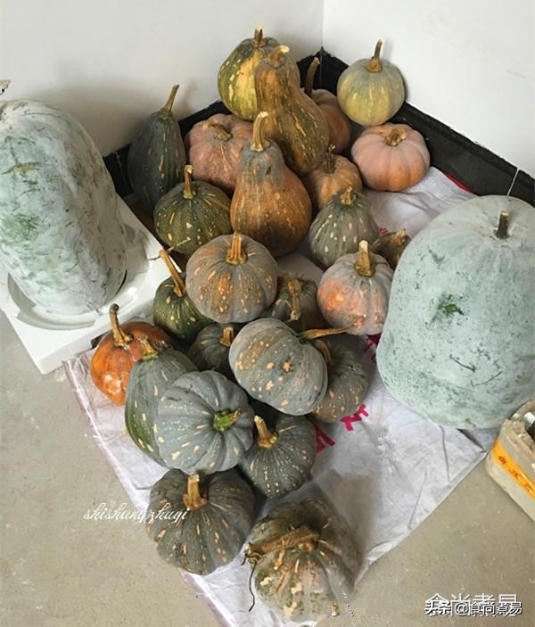 堂哥堂嫂亲自下厨做了一桌农家菜,去乡下婶婶家