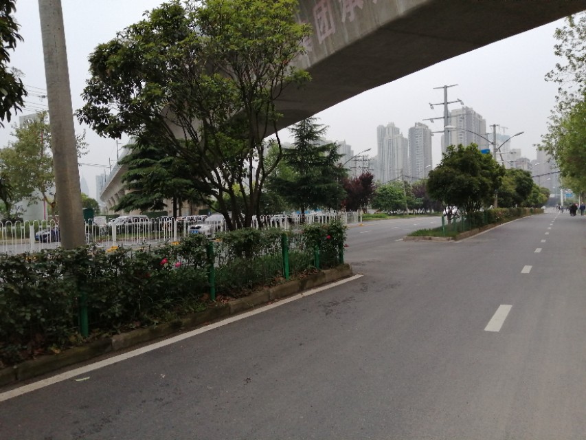 猜谜语幽默句子,猜球的搞笑话语