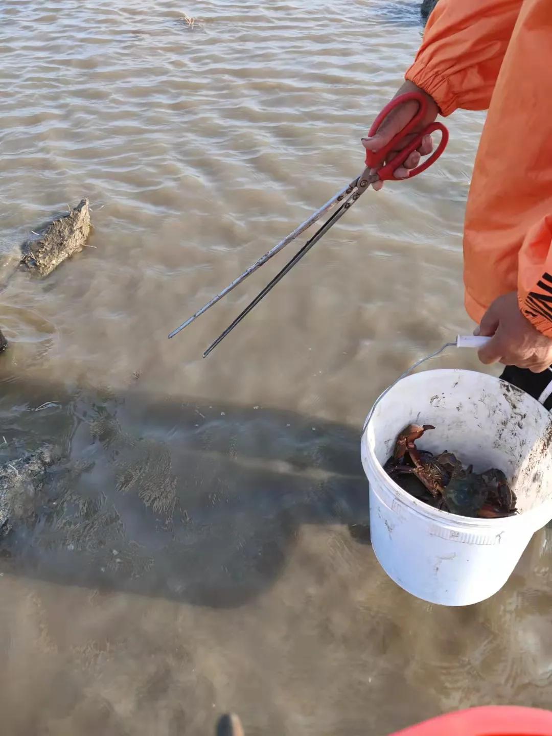 庄河黑岛赶海地点,庄河黑岛赶海潮汐表