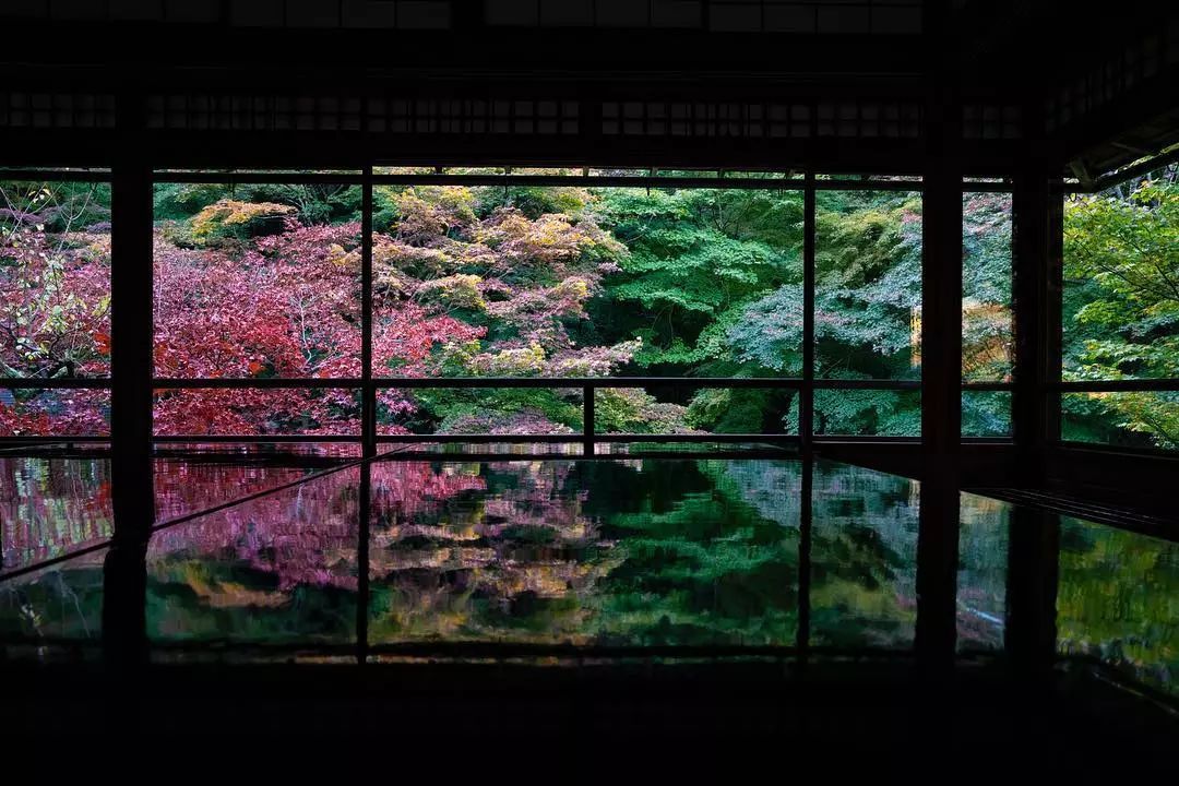 停车坐爱枫林晚，感受火红的秋