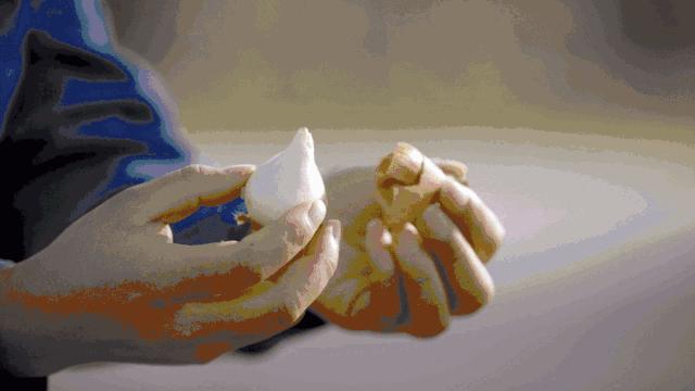 万株郁金香春天,一百万株郁金香