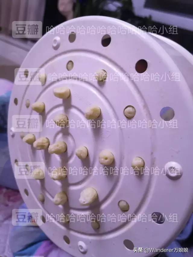 多亏这些宝藏网友,让我笑到免疫力增强