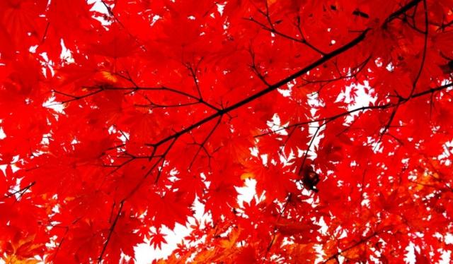 心理测试测什么会有财运,测试你的性格最像什么颜色