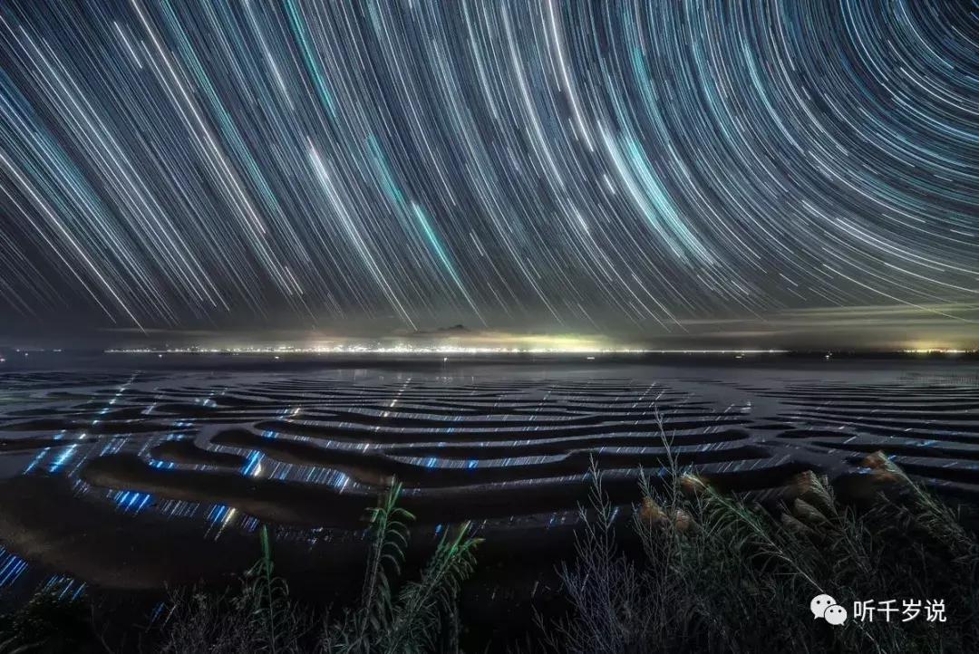 日本东京熊本熊,日本熊本游