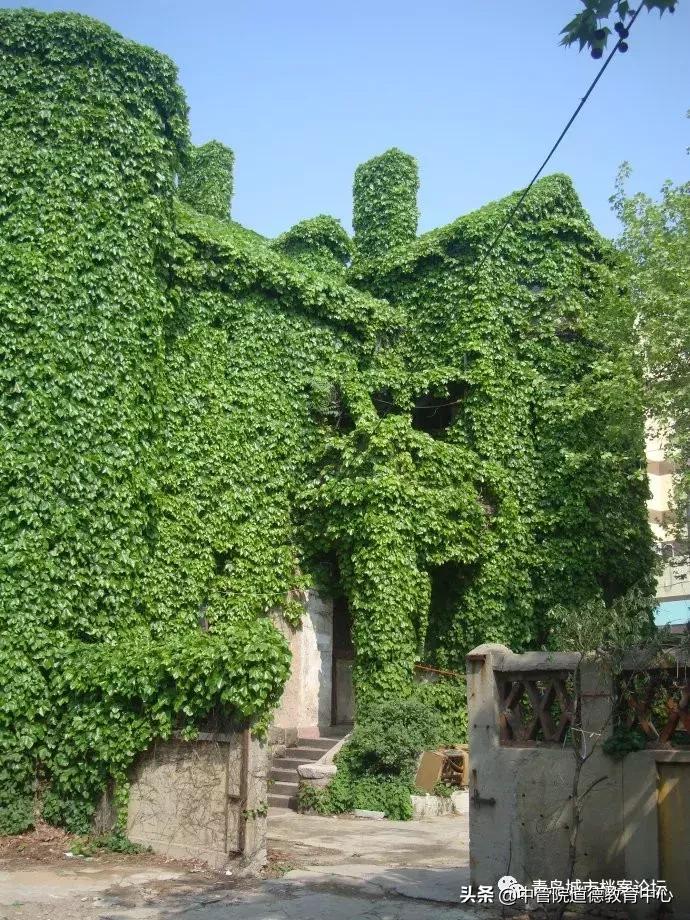 青岛龙口路36号鬼楼谁住过,青岛诡异楼房