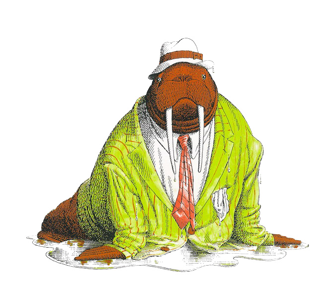 推荐一本关于动物的书,绘本有意思的书